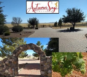 Autumn Sage Vineyard  Sonoita, Arizona
